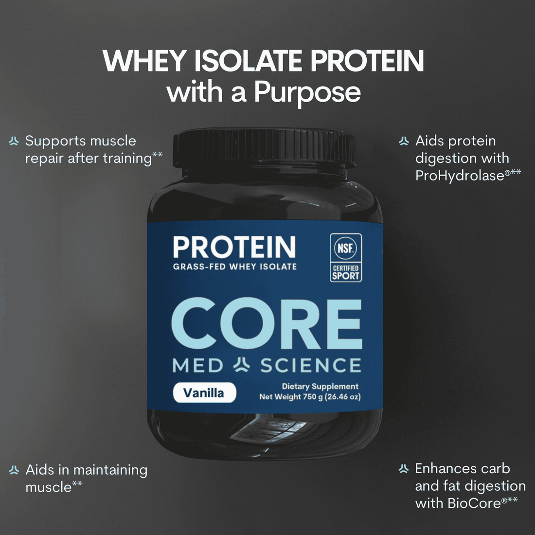 Whey Protein Isolate Vanilla