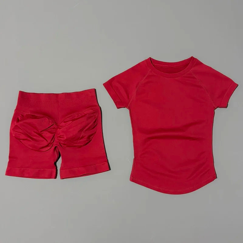 Women’s Seamless Gym Workout Set 2 Piece