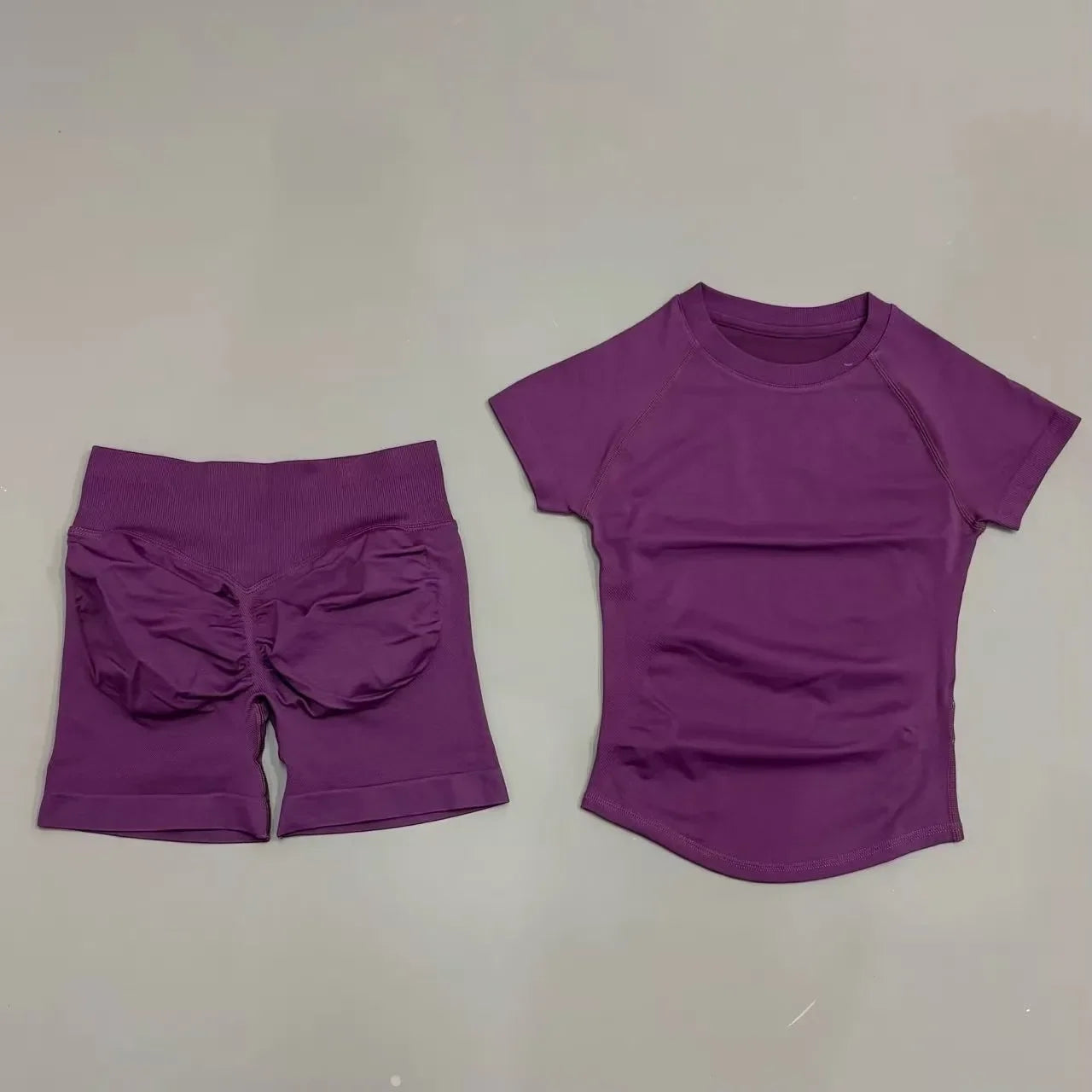 Women’s Seamless Gym Workout Set 2 Piece