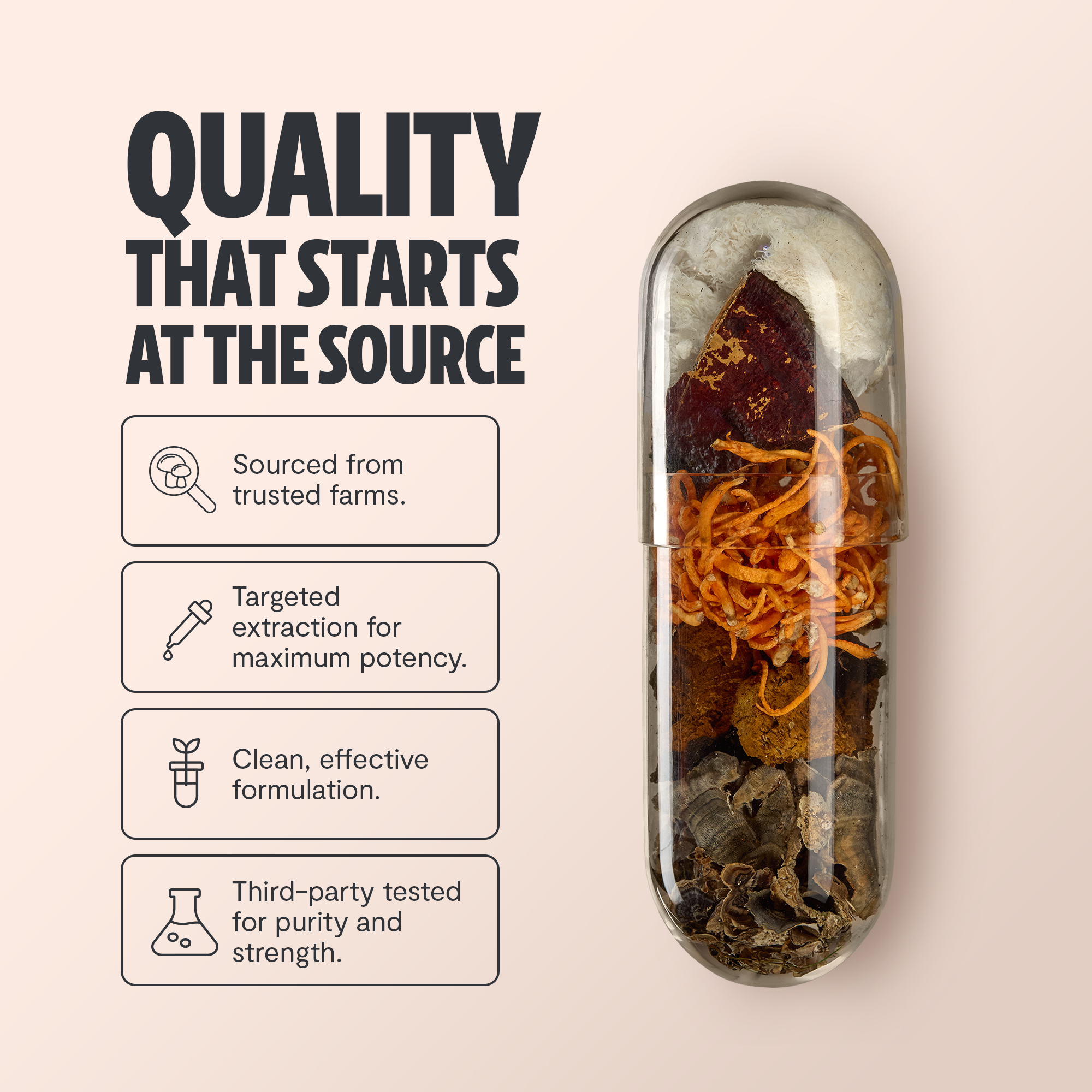 Ultimate Mushroom Complex Capsules
